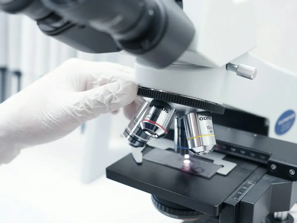 Análisis de una muestra en el microscopio